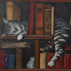 Sleeping Cat in the Bookshelf by Emily Funkhouser