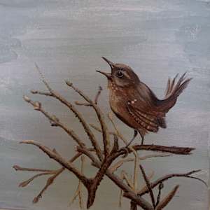 Bird on a Branch by Emily Funkhouser