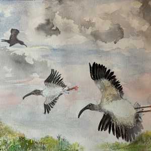 Wood Storks in Flight by Phyllis Lowinger