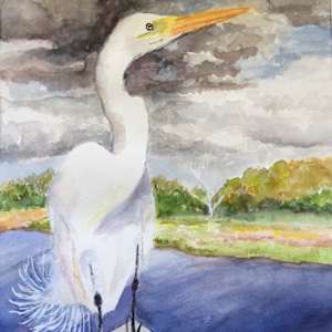 Great White Heron by Phyllis Lowinger