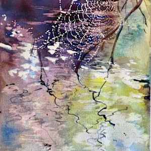 The Spider's Wet Web by Susan Brobeck
