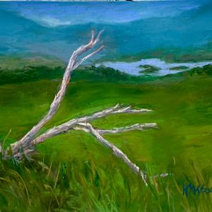 Tranquil View by Helen Wood