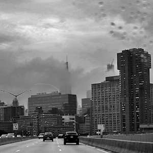 New York Fog by Paula Eiblum