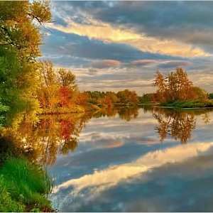 Reflections by Cathy Mc Dermott