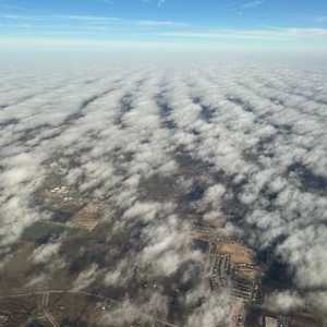 Peeking Through by Paula Eiblum