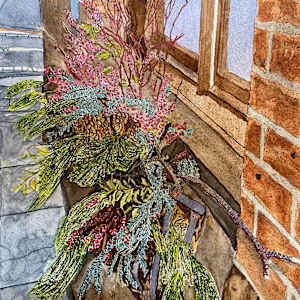 Winter Garden in Window Box by Alexandra Treadaway Hoare