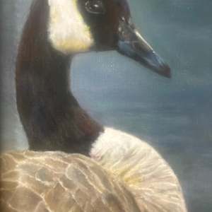 Alphie by Debbie Cohen