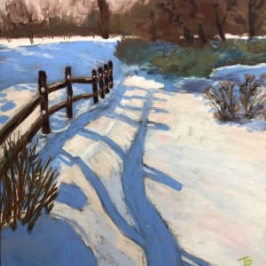 Snow Fence by Patricia Swan Jacobs