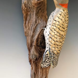 Curious by Nancy Jakubowski