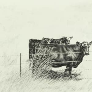 Three Cows by Katherine Nelson