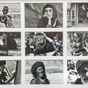 Language in Your Eyes by Anne Barrington