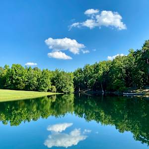 Midsummer Reflection by Lisa Sieg
