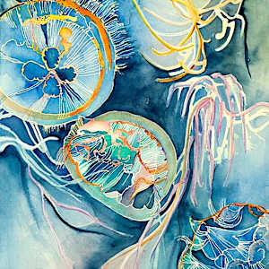 More Jellies by Barbara Bell