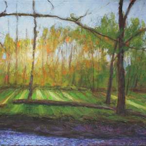 Numinous by Ray Tully
