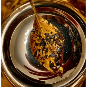 Spinning Leaf by Cathy Mc Dermott