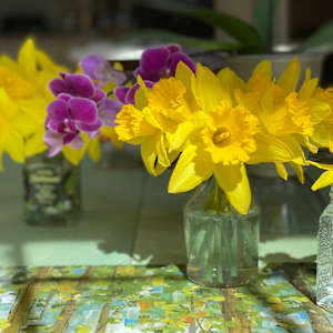 Sunshine on a Sill by Lisa Sieg