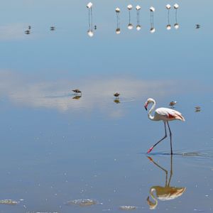 Where Water Meets Sky by Anne Barrington