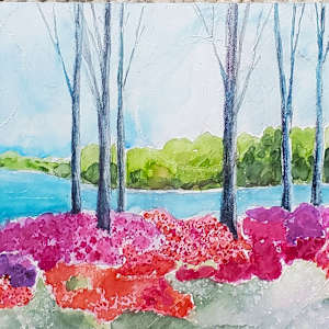 Brighton Dam by Margo Kabel