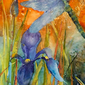 Dragonfly and Iris by David Daniels