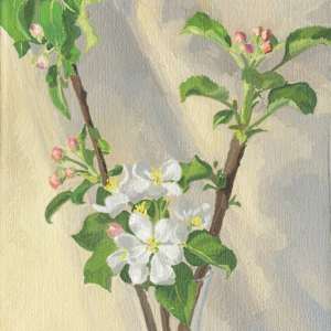 Apple Blossoms in a Vase by Sarah F. Burns