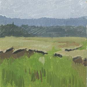 Bovine Beach July 2021 by Sarah F. Burns