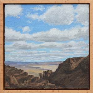 Alvord Desert with Cumulus Clouds by Sarah F. Burns