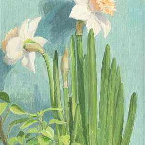 Daffodils with a House Plant by Sarah F. Burns