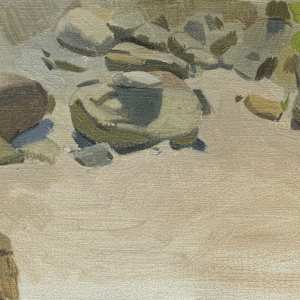 Rocks in the Sun by Sarah F. Burns