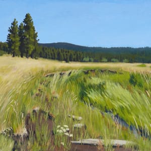Bovine Beach July 2022 by Sarah F. Burns