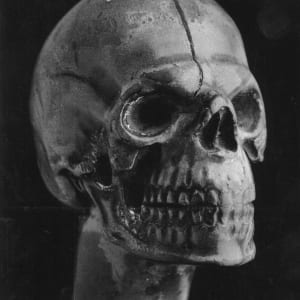 Skull Walking Cane by Roger Mapplethorpe