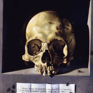 Skull (after Hans Memling) (1) by Maurizio Bottoni