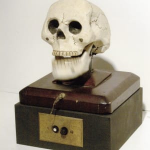 Skull Chatter Box by The Independent Order of Odd Fellows