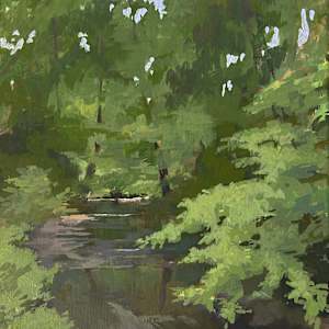 MBSP Creek by Claudia Morgan