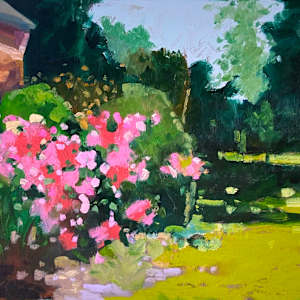 For The Roses by Michael Anderson