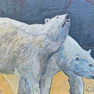 Kallu & Kallik, St. Louis Zoo by Michael Anderson