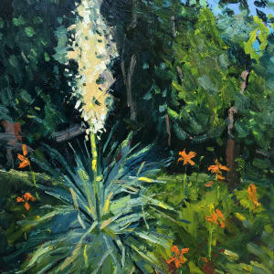 Spanish Daggers by Michael Anderson