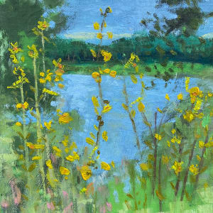 Wild Daisies, Early August by Michael Anderson