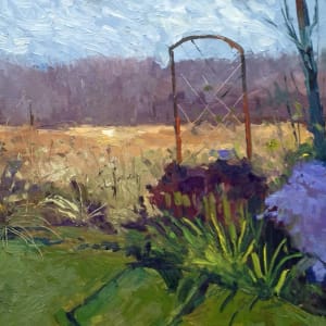 Asters, Last Blooms, 11/08/2015 by Michael Anderson