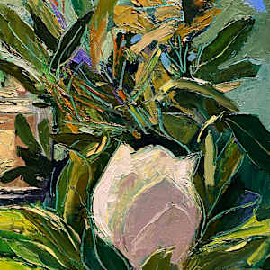 Magnolia Blossom by Michael Anderson