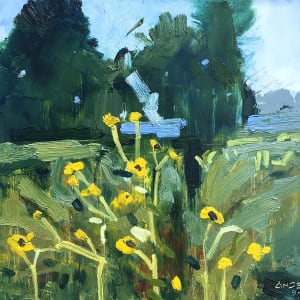 Riverlands Field by Michael Anderson