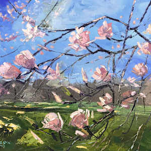 Spring by Michael Anderson