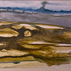 The call of the curlew by Vandy Massey