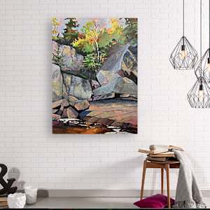 In Between the Rocks by Holly Friesen 