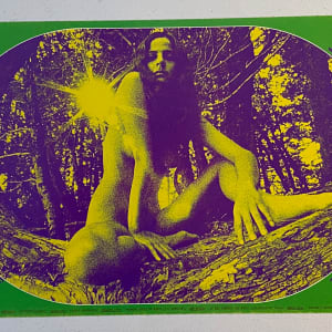 "Sitting Pretty," Blue Cheer, Country Joe & the Fish, Lee Michaels, Flamin' Groovies, Mad River, Mount Rushmore, December 31, Avalon Ballroom by Bob Schnepf Thomas Weir