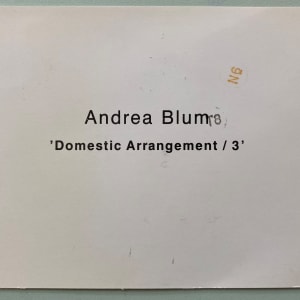 'Domestic Arrangement/3' Lumen Travo by Andrea Blum