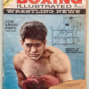 Volume 2, No. 11 by Boxing Illustrated
