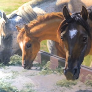 Untitled | Three Horses Eating by Lynn Maderich
