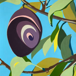 Plum Tree by Patti Samper