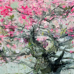 Okame cherry bonsai by Eric Alfaro 