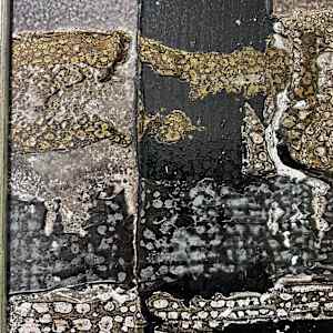 Aftermath by J. Kent Martin, Image 6.